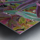 Natures Magic Metal print