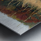 Whispering Wind Metal print