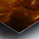 Transparency2 Metal print