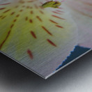 Pastels Metal print