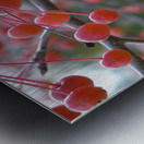 Berries Metal print