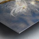 Wild Thing Metal print