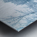 Winter Tranquility Metal print