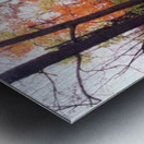The Path to Peace Metal print