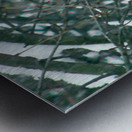 Camouflage Metal print