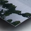 Take a Breath Metal print