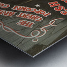 greatamerpopc Metal print