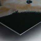 chloewithoutframe Metal print