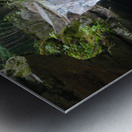 The Pool Metal print