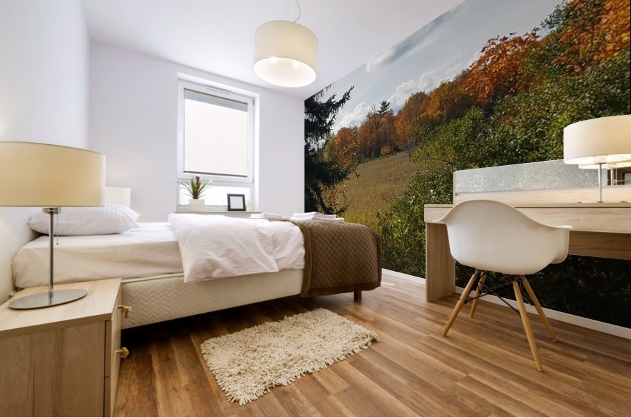 Autumn Glow Mural print