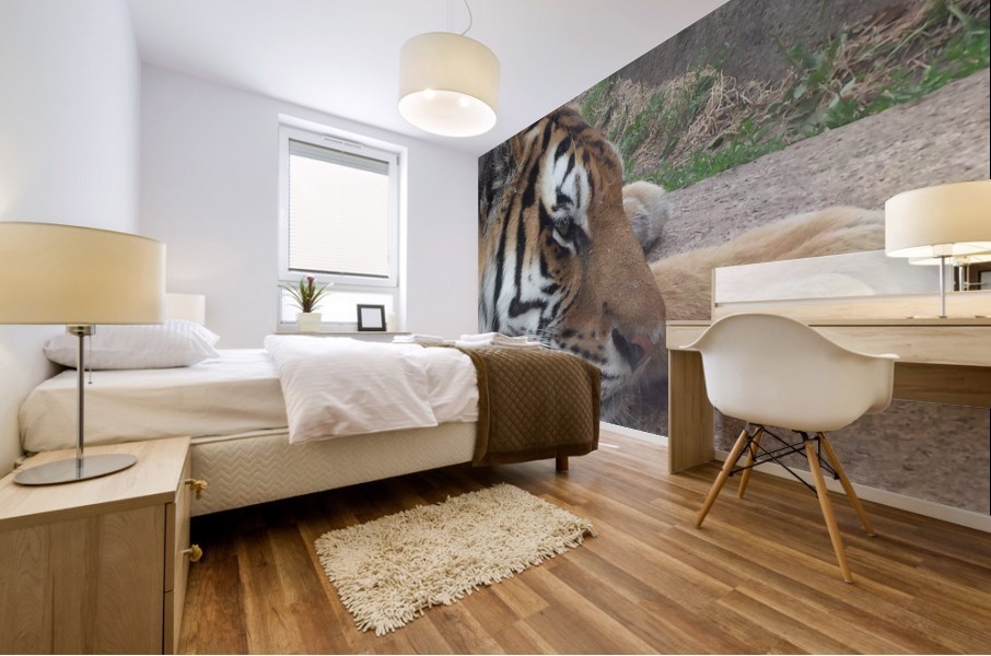 Meow Mural print