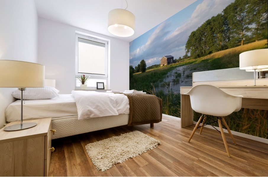 Years Gone By Mural print