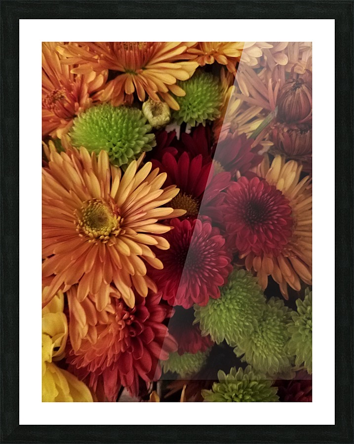 Fighting for Attention Picture Frame print