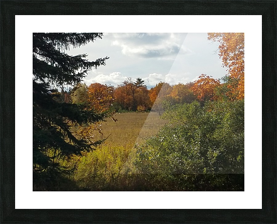 Autumn Glow Picture Frame print