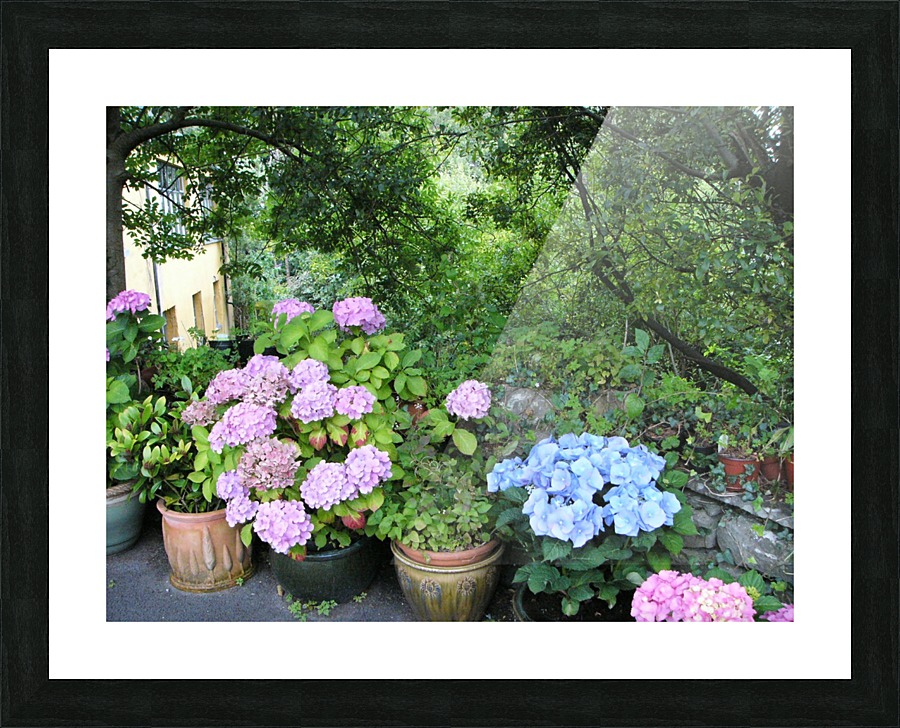 Stuffed in a Pot Picture Frame print