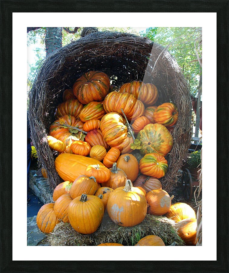 Megacornacopia Picture Frame print