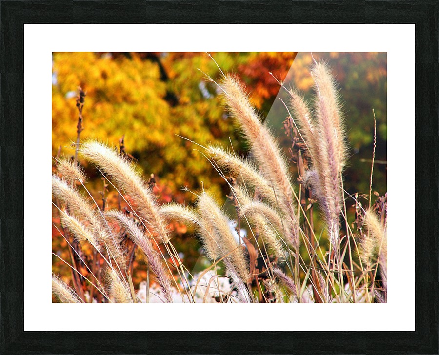 Dancing Grass Picture Frame print
