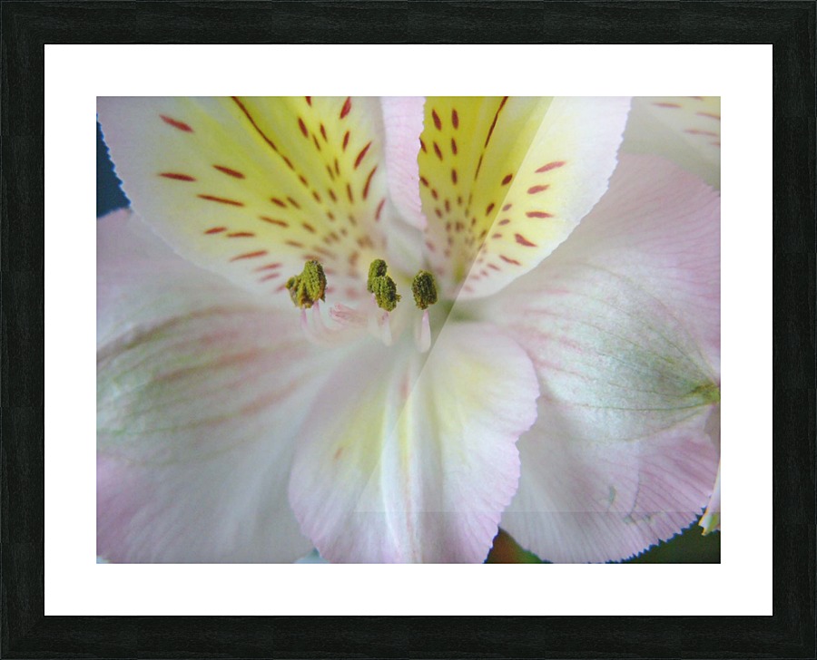 Pastels Picture Frame print