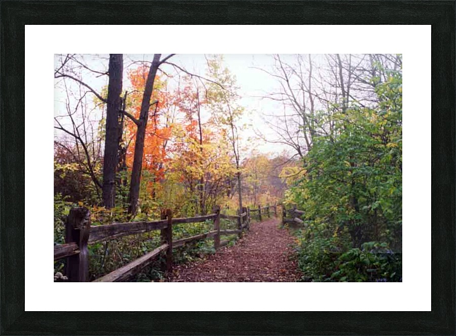 The Path to Peace Picture Frame print