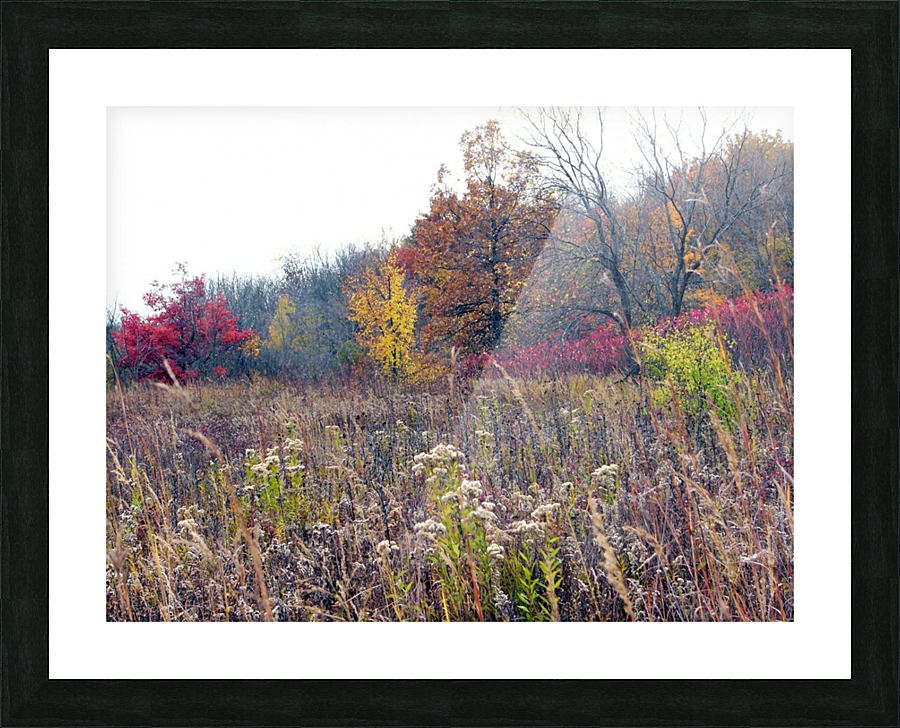 Prairie Picture Frame print