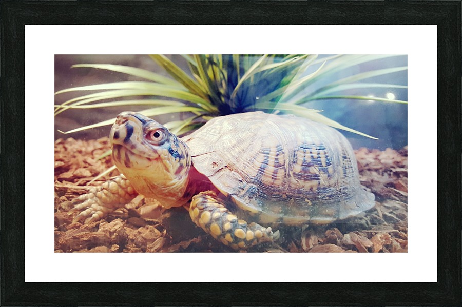 Smile Picture Frame print