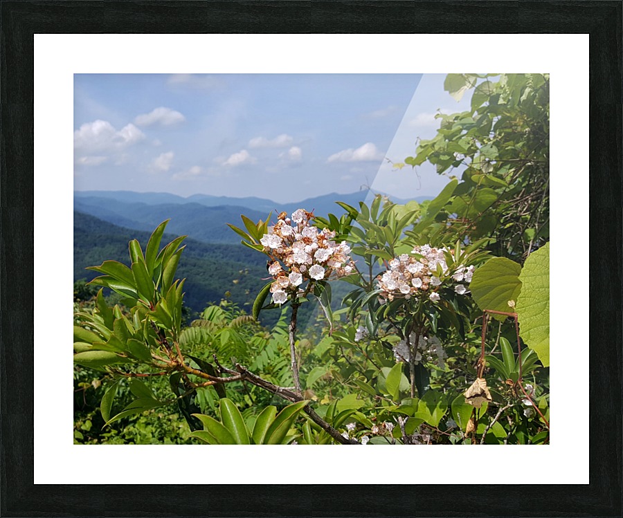 Mountain Paradise Picture Frame print