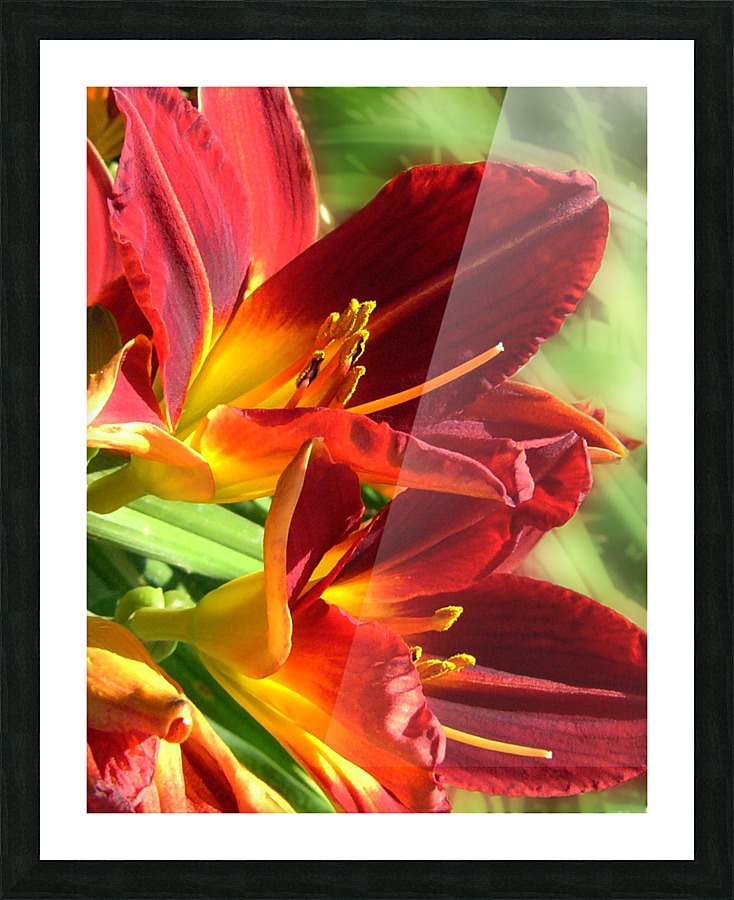 Firecrackers Picture Frame print