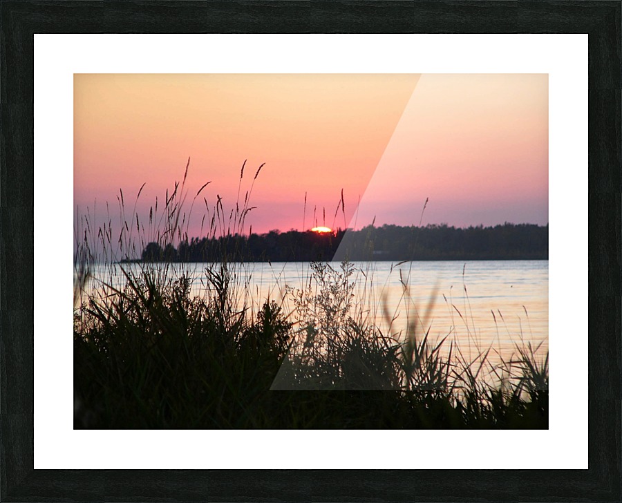 Pinks and Peaches Picture Frame print