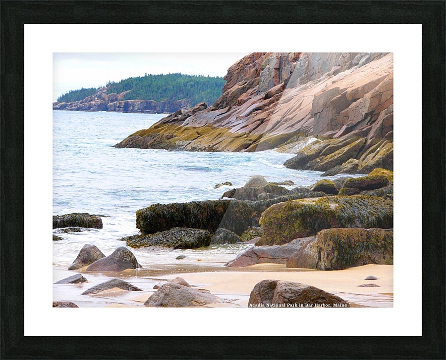 The Shore Picture Frame print
