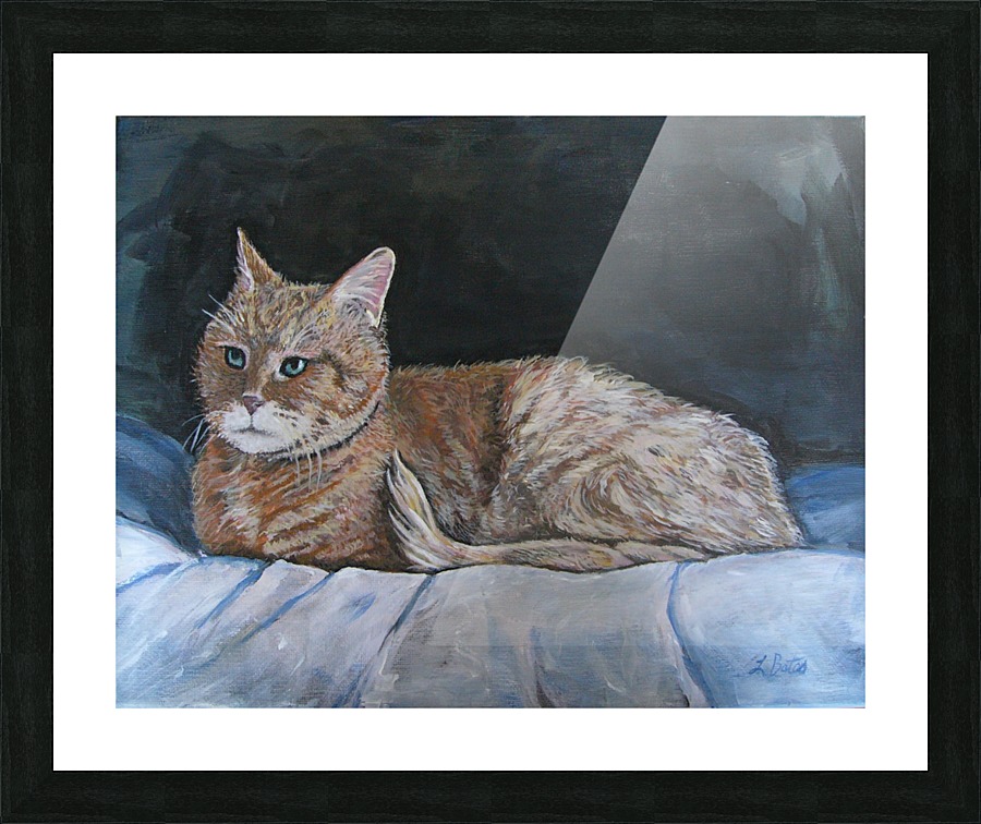 catportrait Picture Frame print