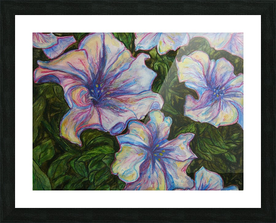 Petunias Picture Frame print
