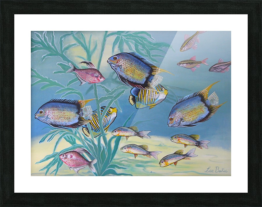 Underwater Picture Frame print