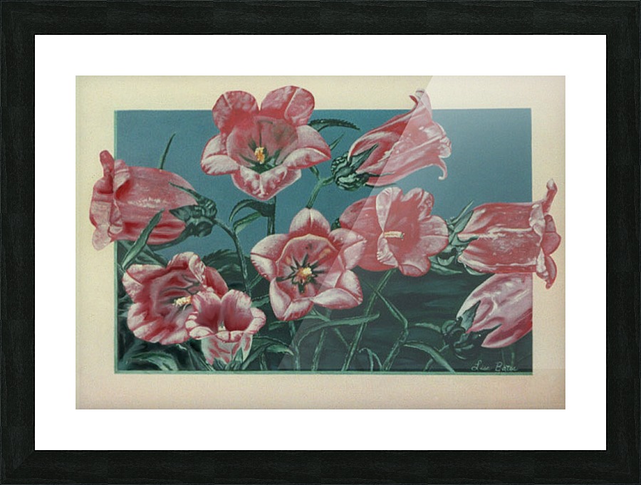 Confined Picture Frame print