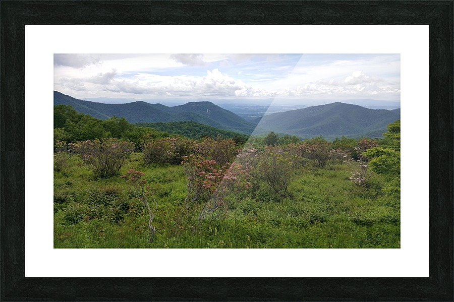 In the Distance Picture Frame print