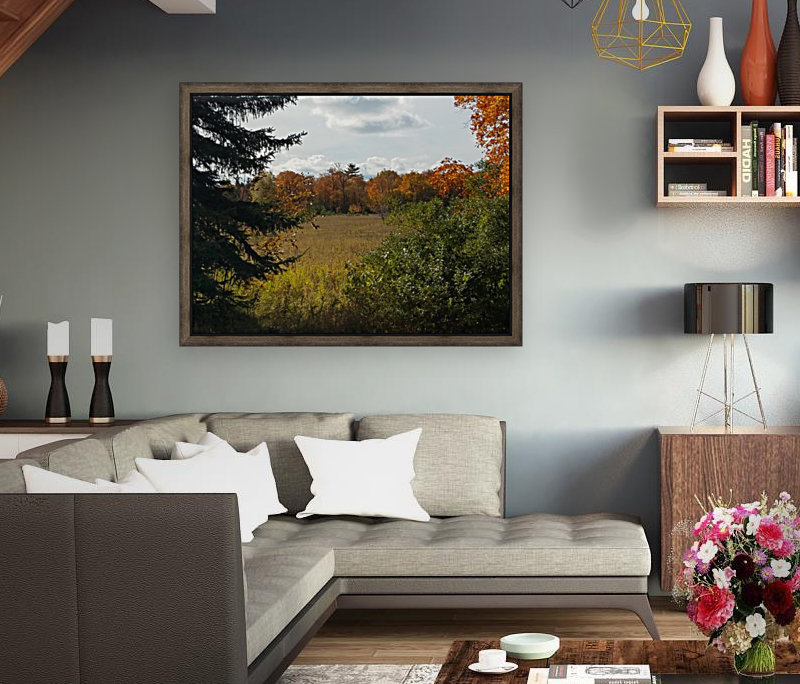 Autumn Glow Reproduction