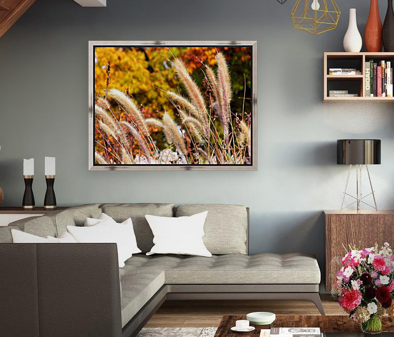 Dancing Grass Reproduction