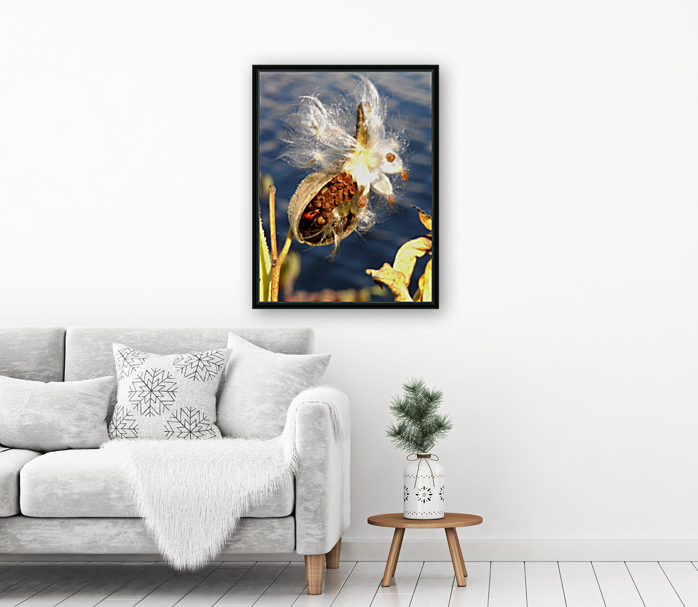 Wild Thing Reproduction