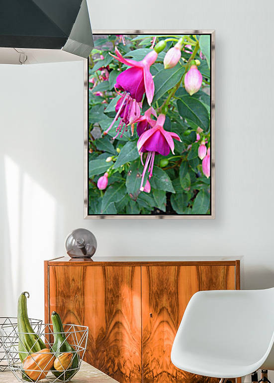 Fuchsias in Fuchsia by Lisa Bates