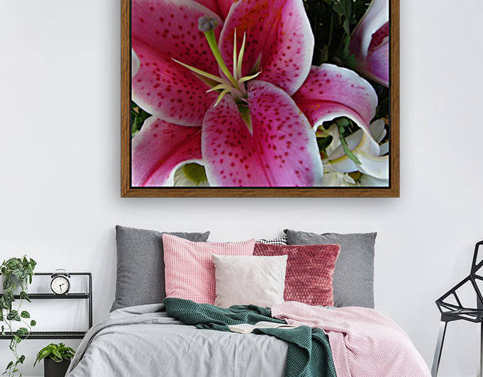 Lily by Lisa Bates