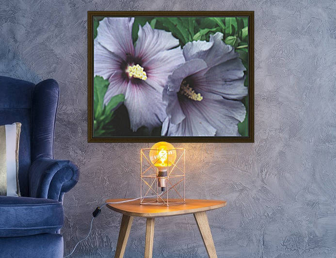 Rose of Sharon by Lisa Bates