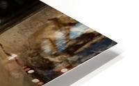 Indian Corn HD Metal print