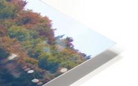 Sail Away HD Metal print