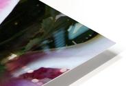 Lily HD Metal print