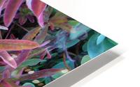 Natures Magic HD Metal print