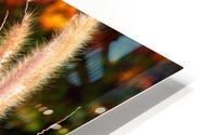 Dancing Grass HD Metal print