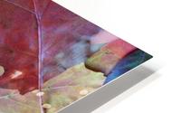 Natures Collage HD Metal print