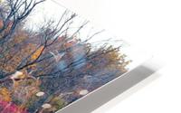 Prairie HD Metal print