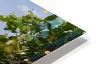 Mountain Paradise HD Metal print