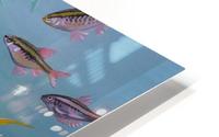 Underwater HD Metal print
