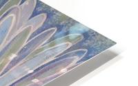Close-up HD Metal print